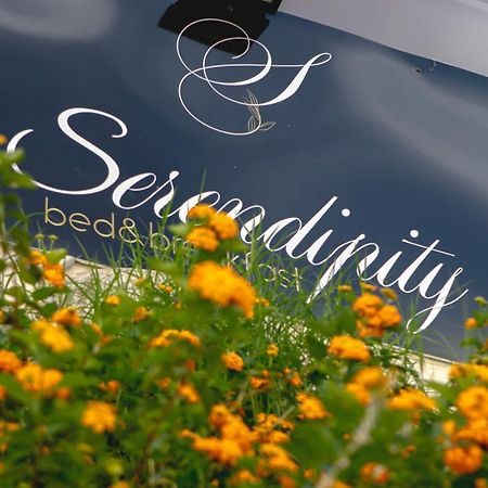 Serendipity B&B Messina Exterior photo
